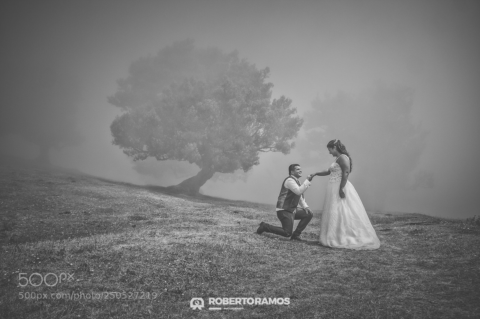 Canon EOS 60D sample photo. With fog and love photography