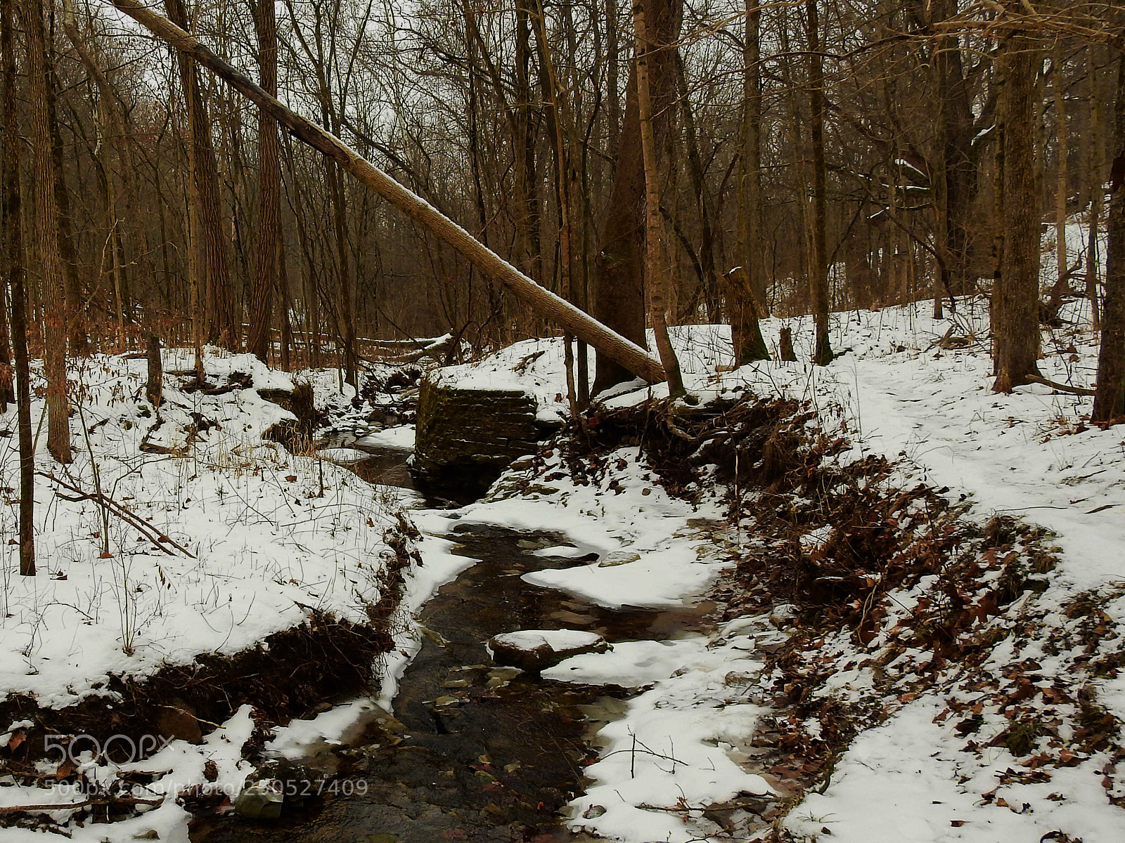 Nikon Coolpix P900 sample photo. Winter stream photography