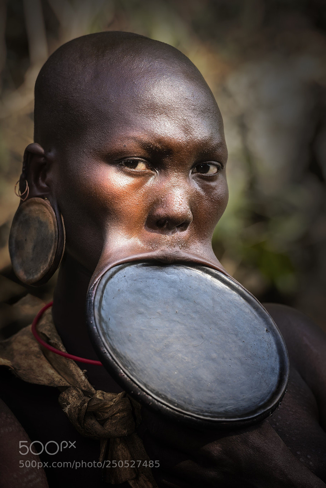 Nikon D810 sample photo. The beauty of the photography