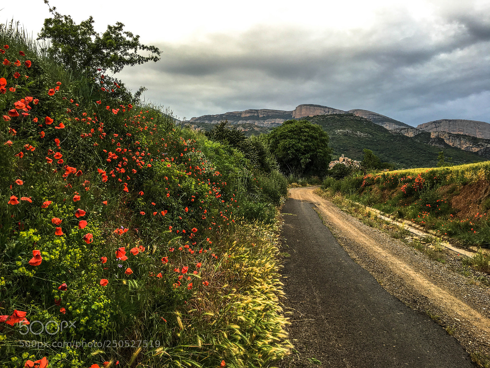 Apple iPhone 6s sample photo. Montsec en primavera photography