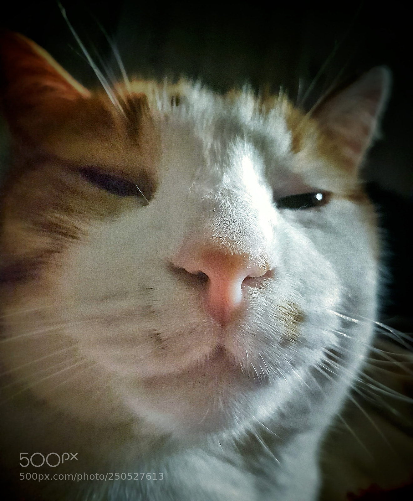 Samsung Galaxy S7 Edge sample photo. Untitled photography