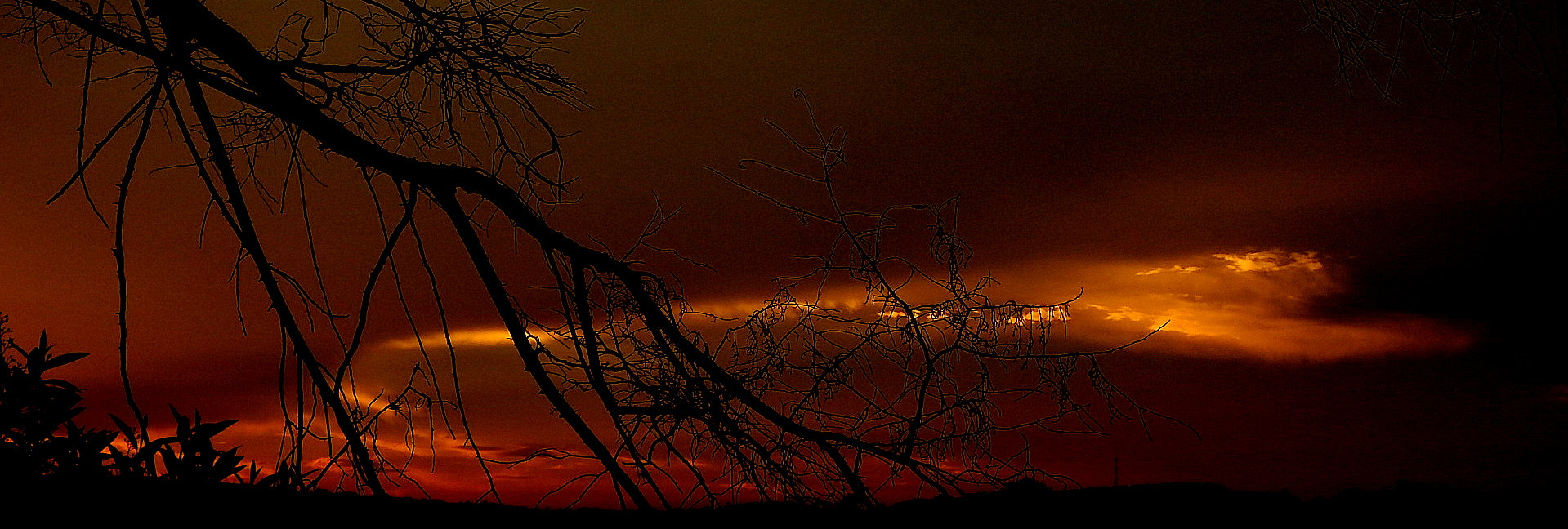Fujifilm FinePix SL1000 sample photo. Big sunset .... photography