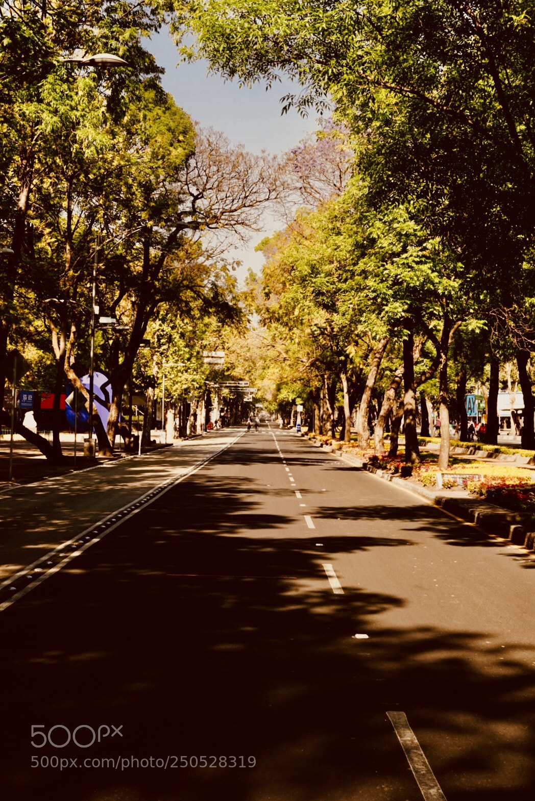 Sony a7 II sample photo. Paseo de la reforma photography