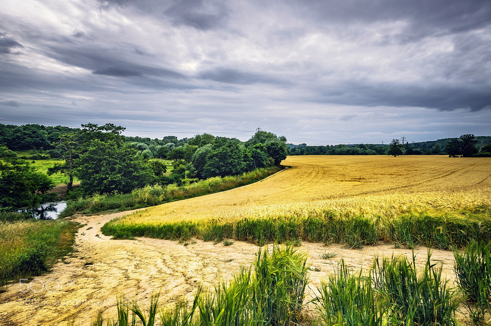 Pentax K-3 sample photo. Cloudy field. photography