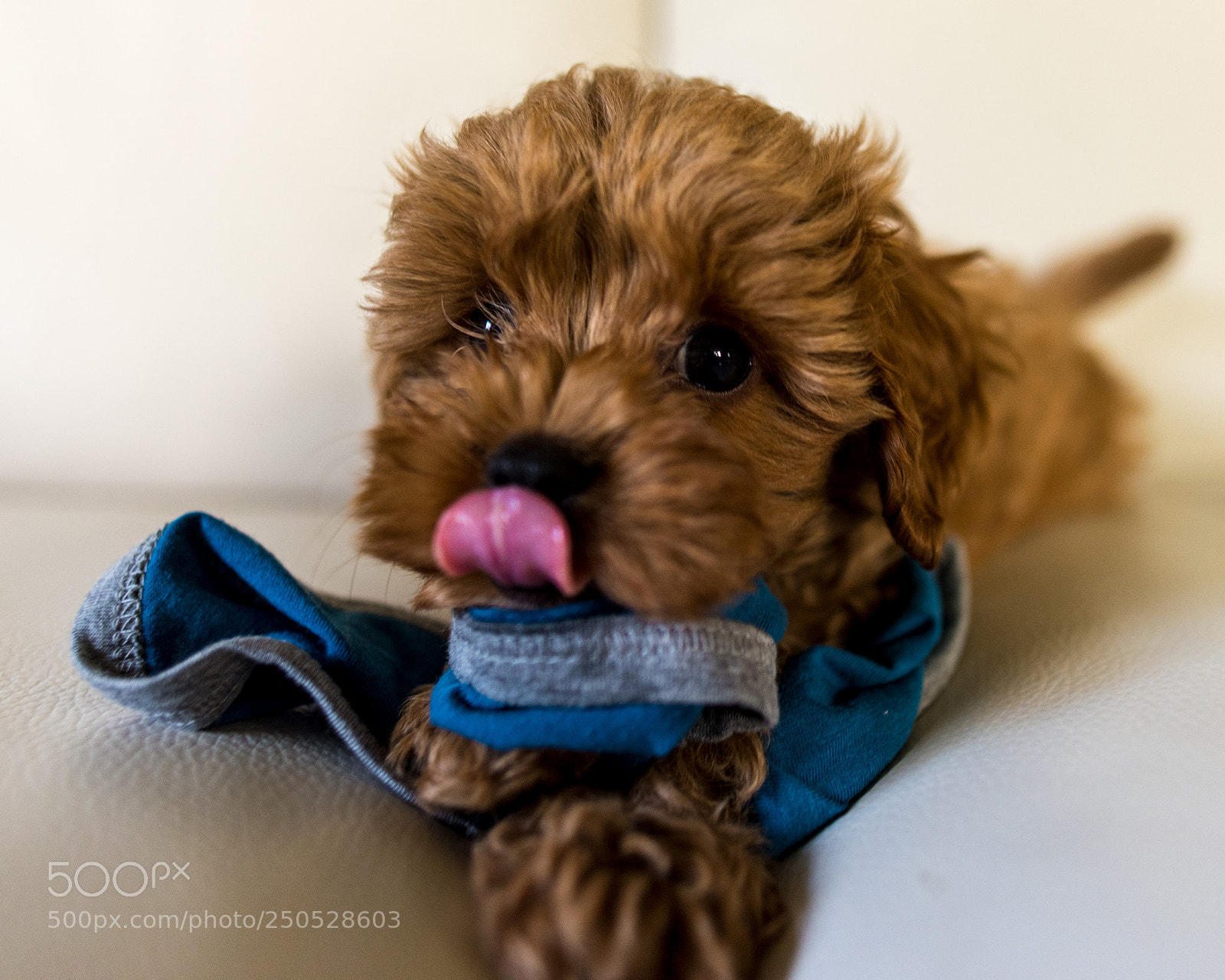 Nikon D810 sample photo. Tasty photography