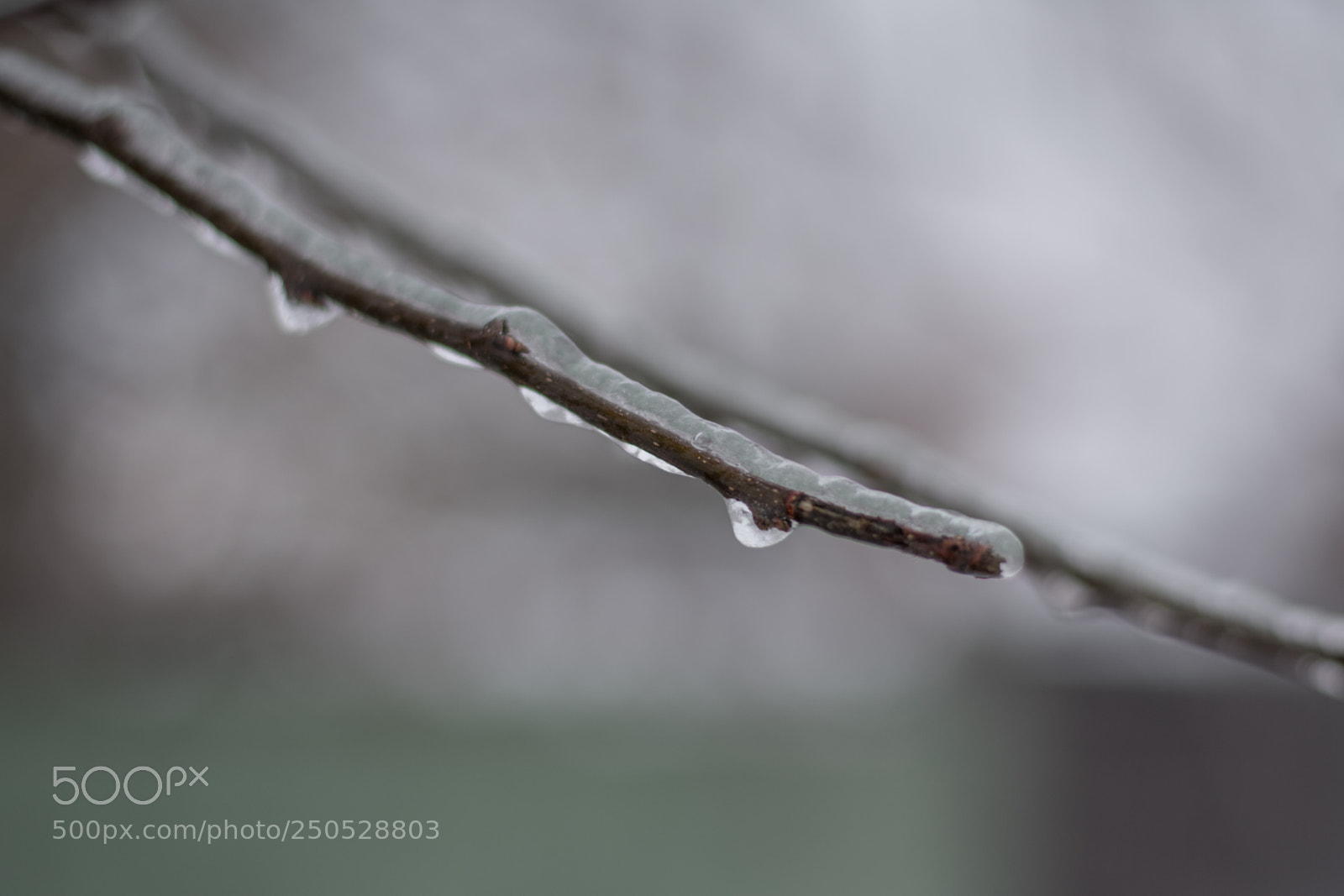 Nikon D3400 sample photo. Ice layer photography