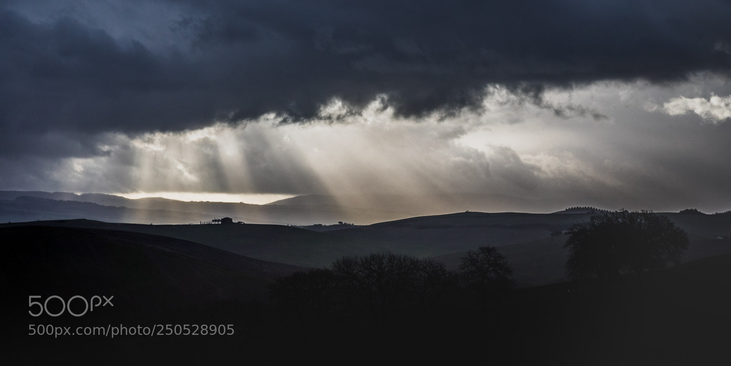 Canon EOS 5D Mark IV sample photo. Before rain photography