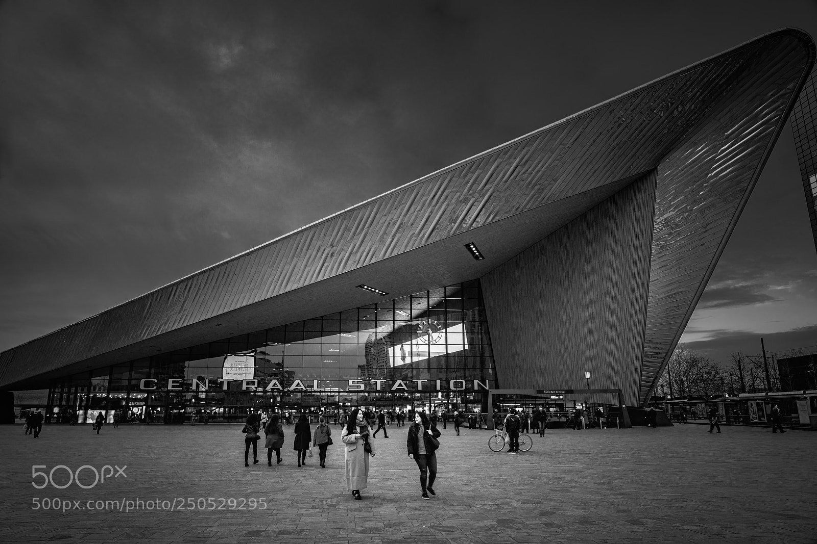 Sony a7R III sample photo. Untitled photography