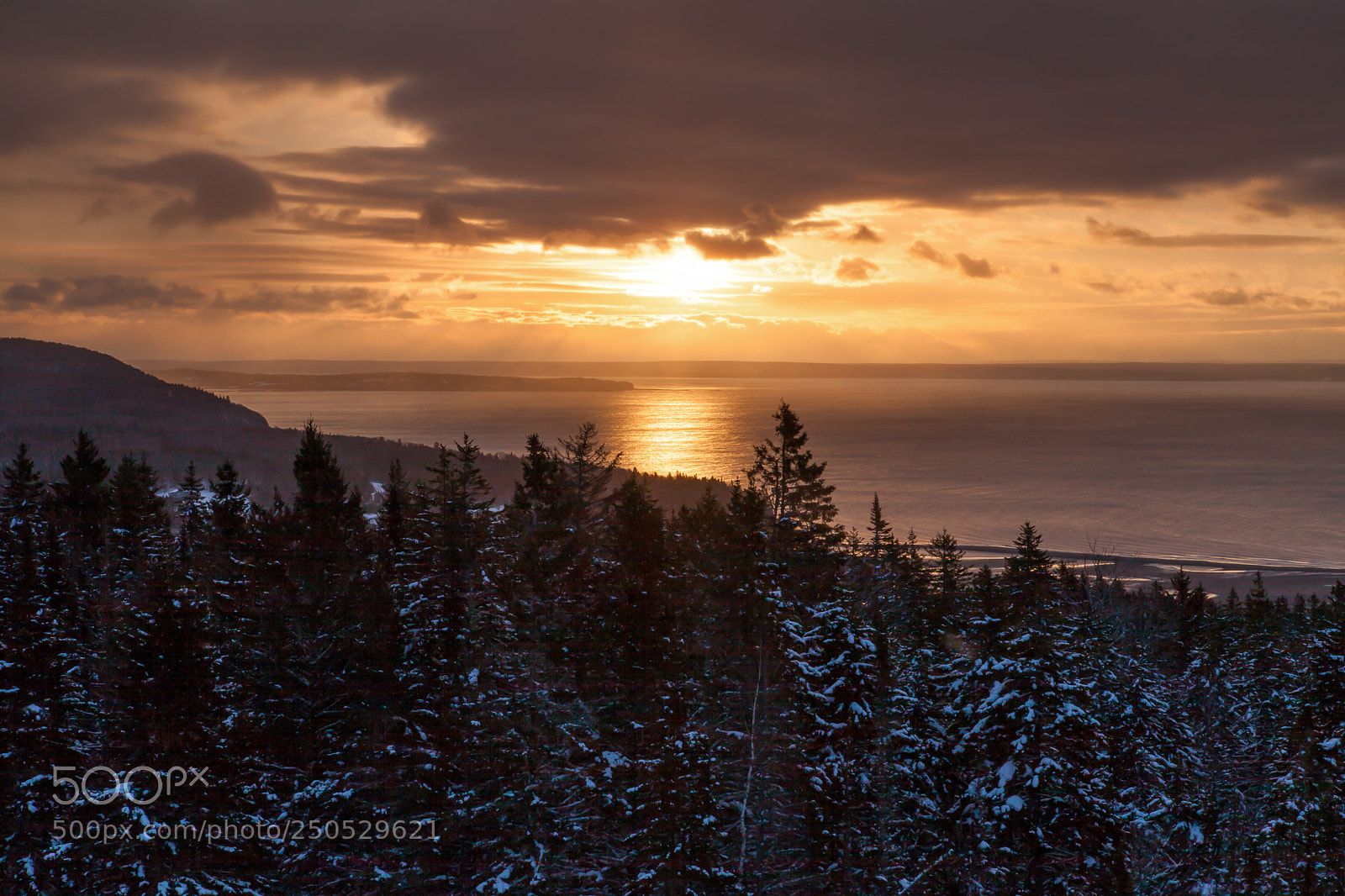 Canon EOS 5D Mark II sample photo. Golden light... photography