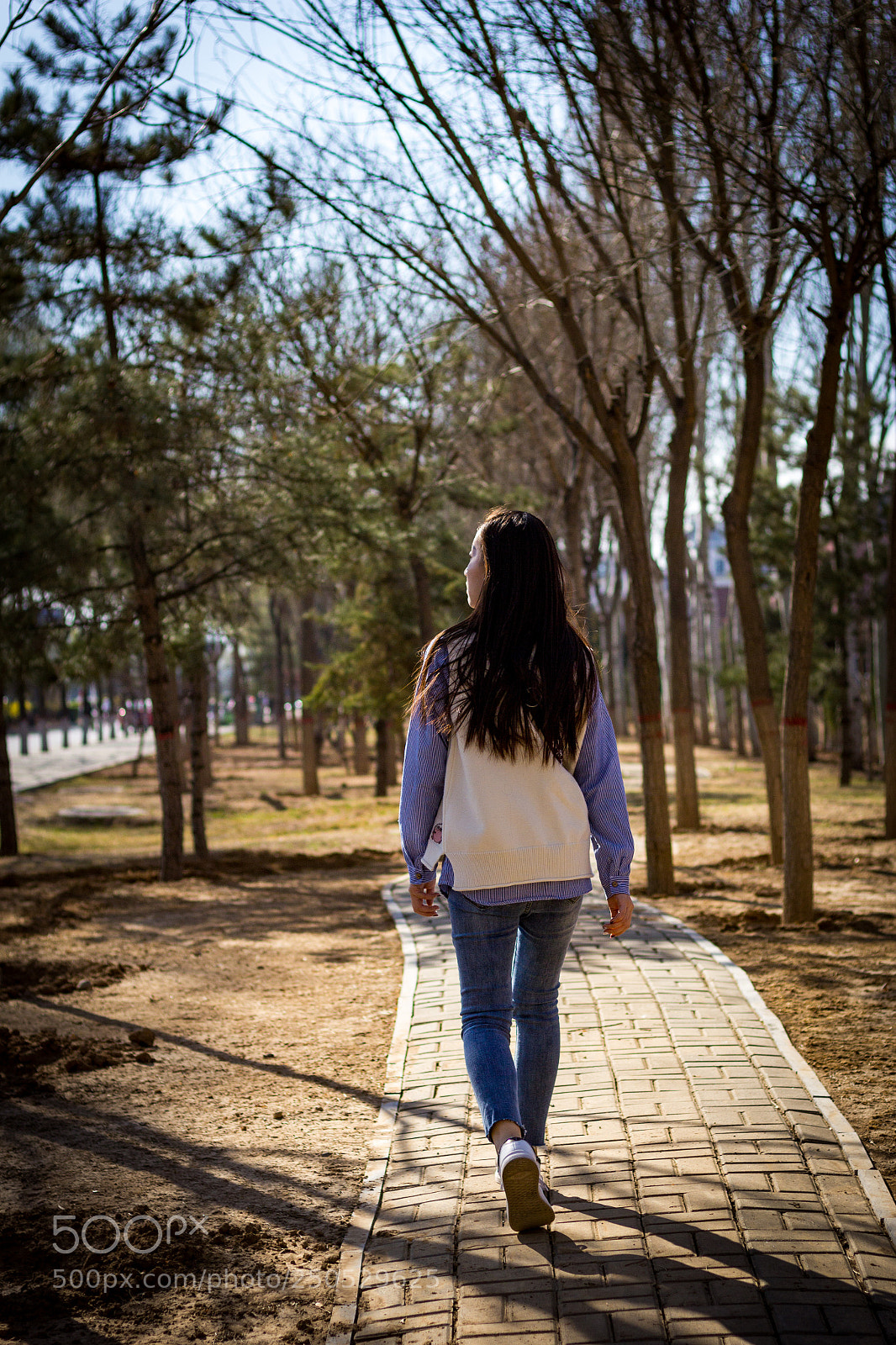 Canon EOS 60D sample photo. 阳光路 photography