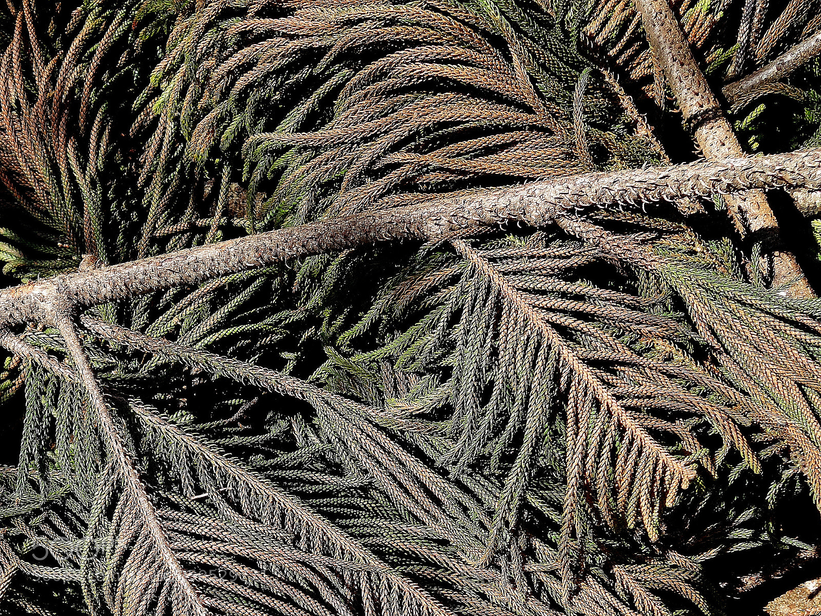 Sony Cyber-shot DSC-RX100 II sample photo. Dl cascades () photography