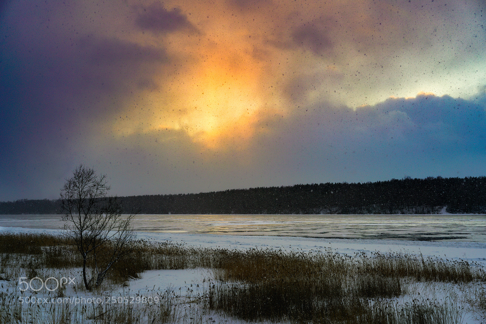 Sony a7R II sample photo. Sunset snowfall. photography