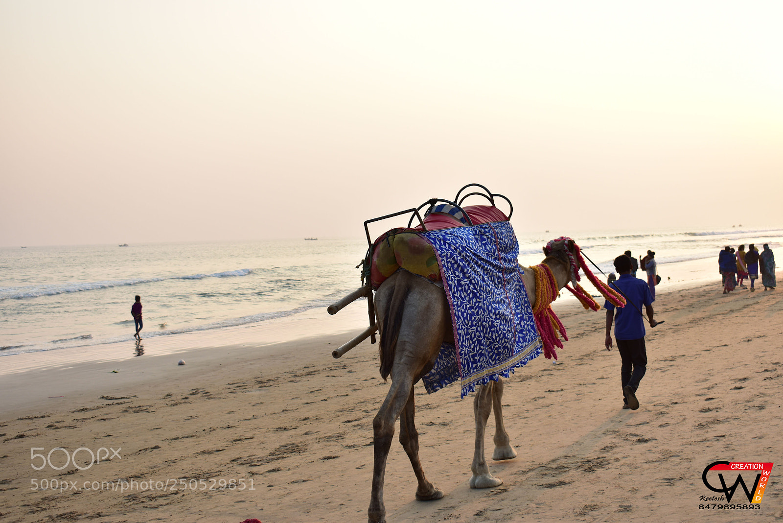 Nikon D5500 sample photo. 2.jpg photography