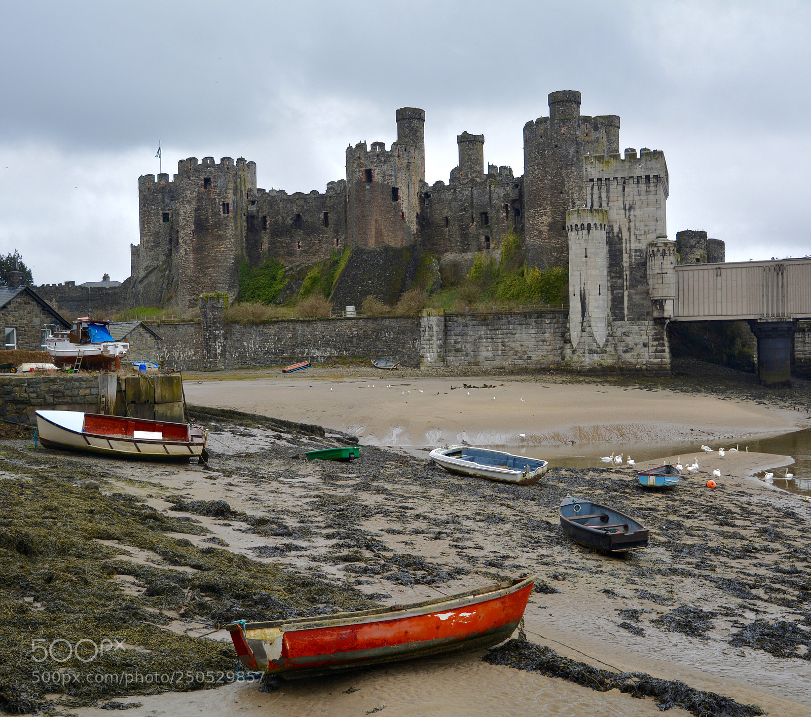 Nikon D5200 sample photo. Conwy castle  photography
