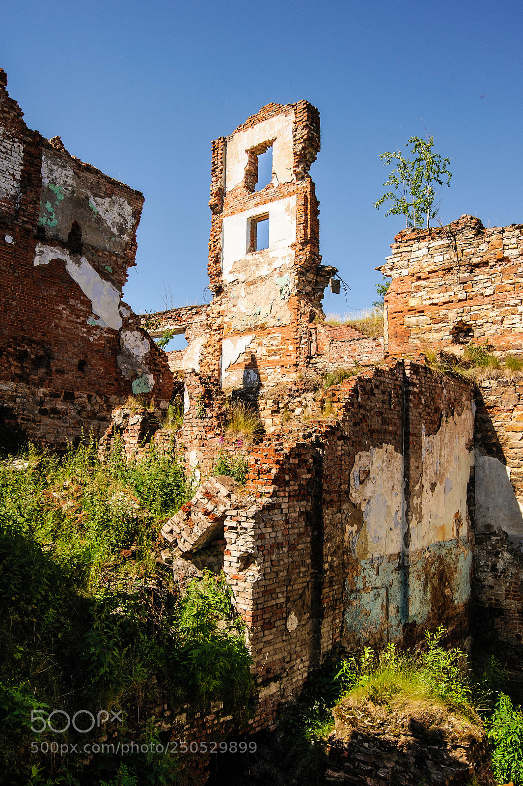 Nikon D700 sample photo. Луньевский завод photography