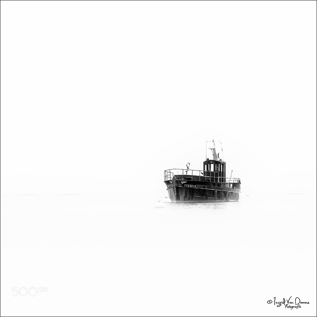 Canon EOS 5D Mark IV sample photo. Allone in the fog photography