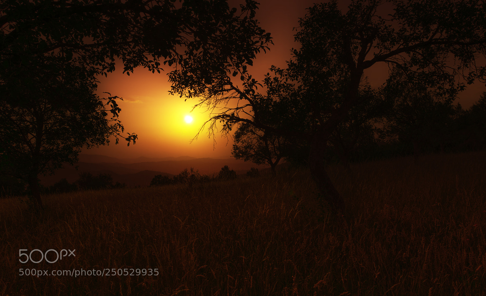 Nikon D610 sample photo. Sunset photography
