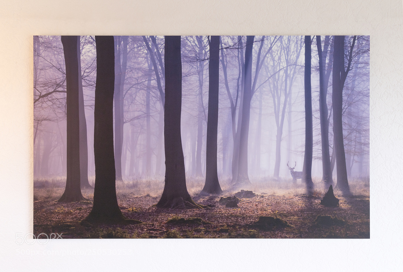 Canon EOS 6D Mark II sample photo. Wonderful world print photography