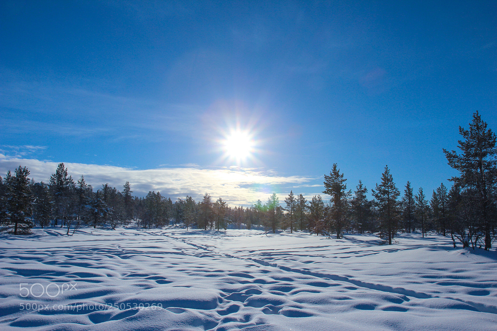 Canon EOS 600D (Rebel EOS T3i / EOS Kiss X5) sample photo. Snowfield  photography