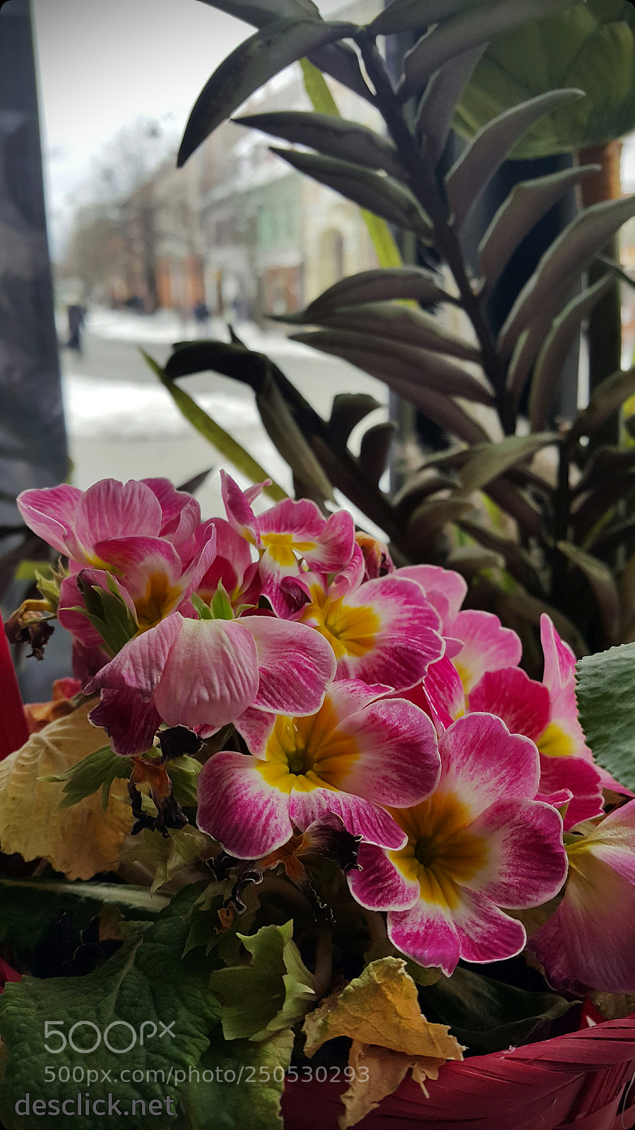 Samsung Galaxy Note4 sample photo. Detalles ... photography