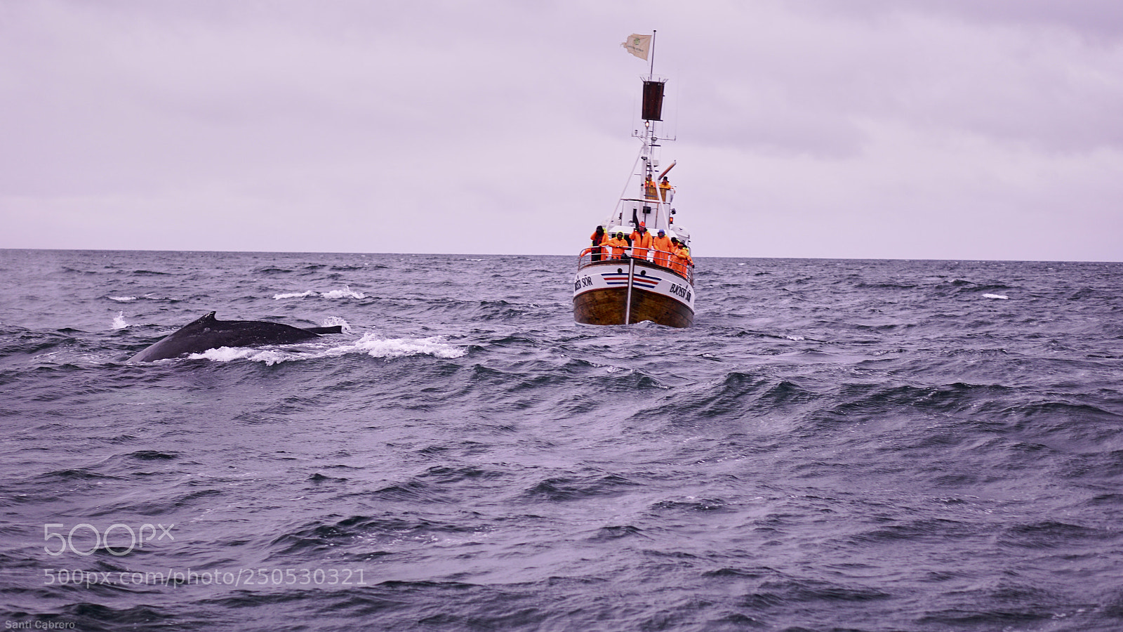 Sony a6000 sample photo. Whale watching from h photography