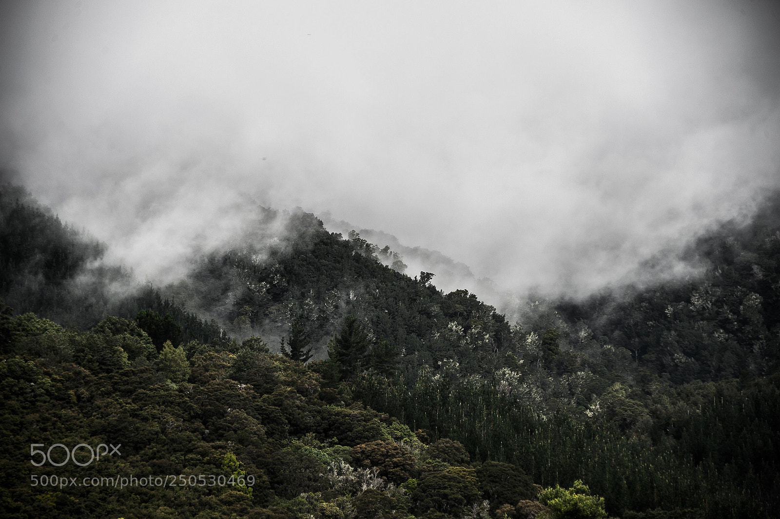 Nikon D4 sample photo. New zealand : richmond range photography
