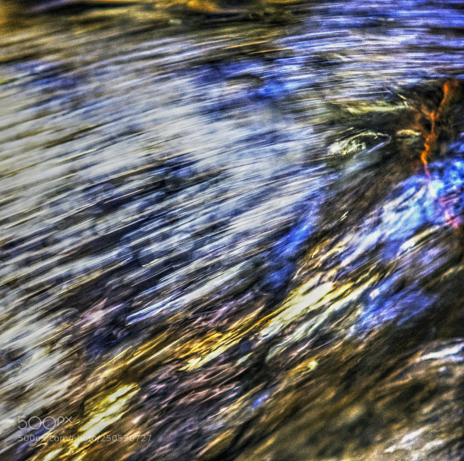 Nikon D70 sample photo. Speed photography