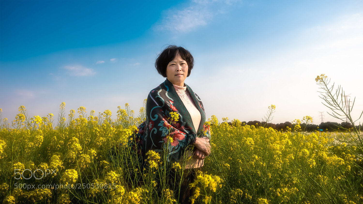 Canon EOS 5D Mark IV sample photo. Untitled photography