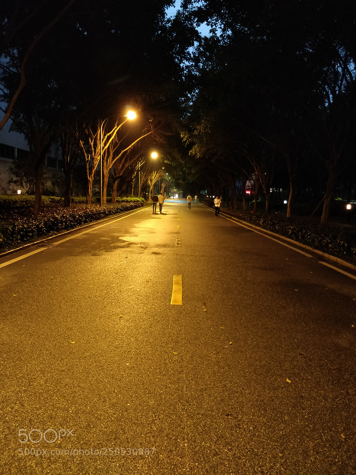 OnePlus 5T sample photo. Untitled photography