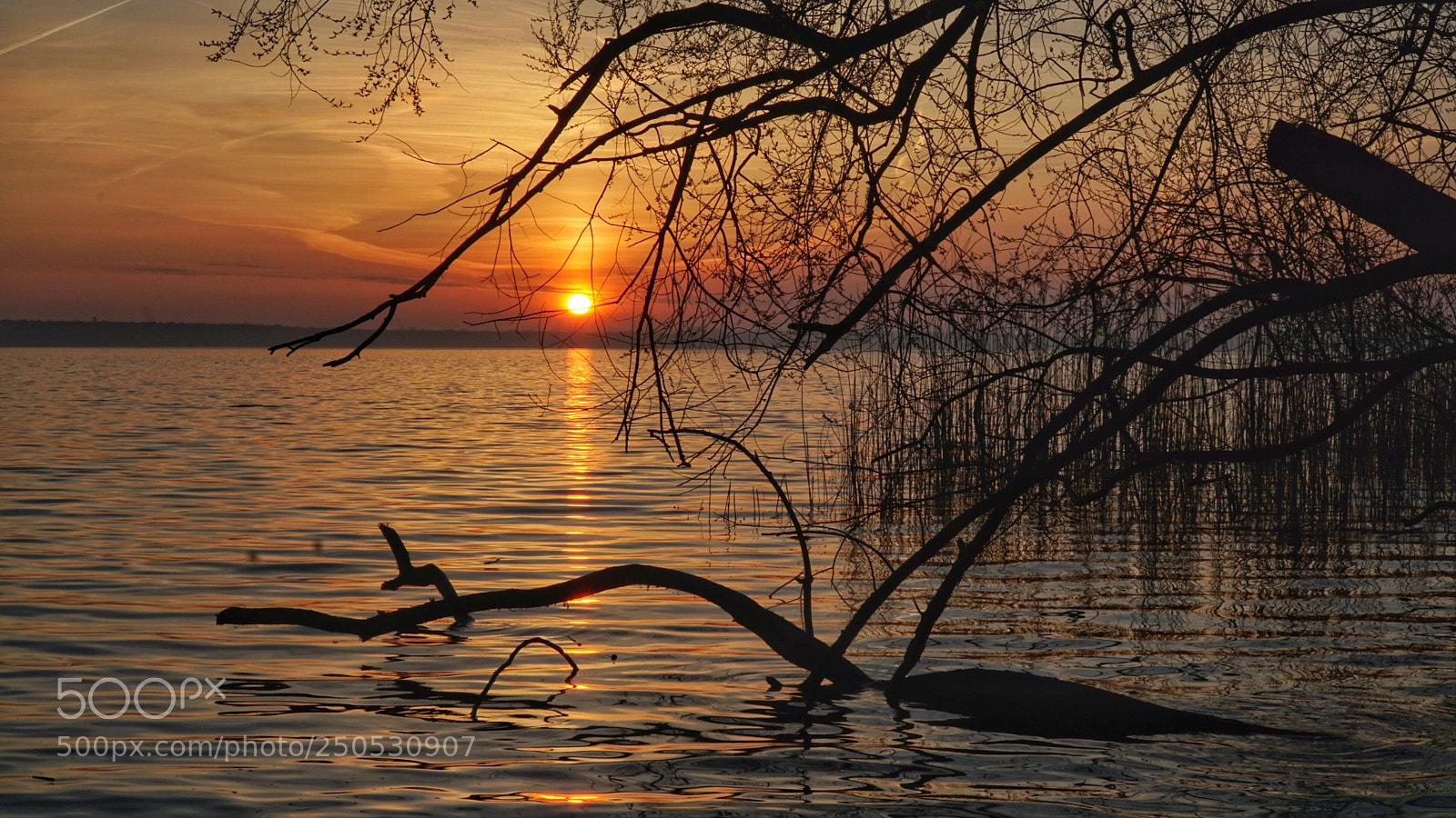 Sony a6000 sample photo. Dsc 4164 lake müggelsee  photography