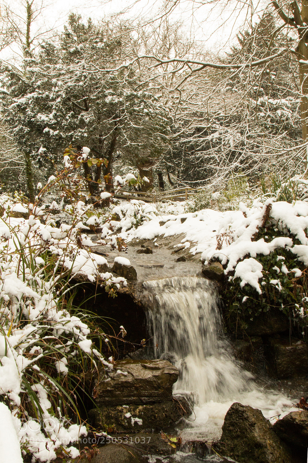 Canon EOS 70D sample photo. Holly hill waterfall photography