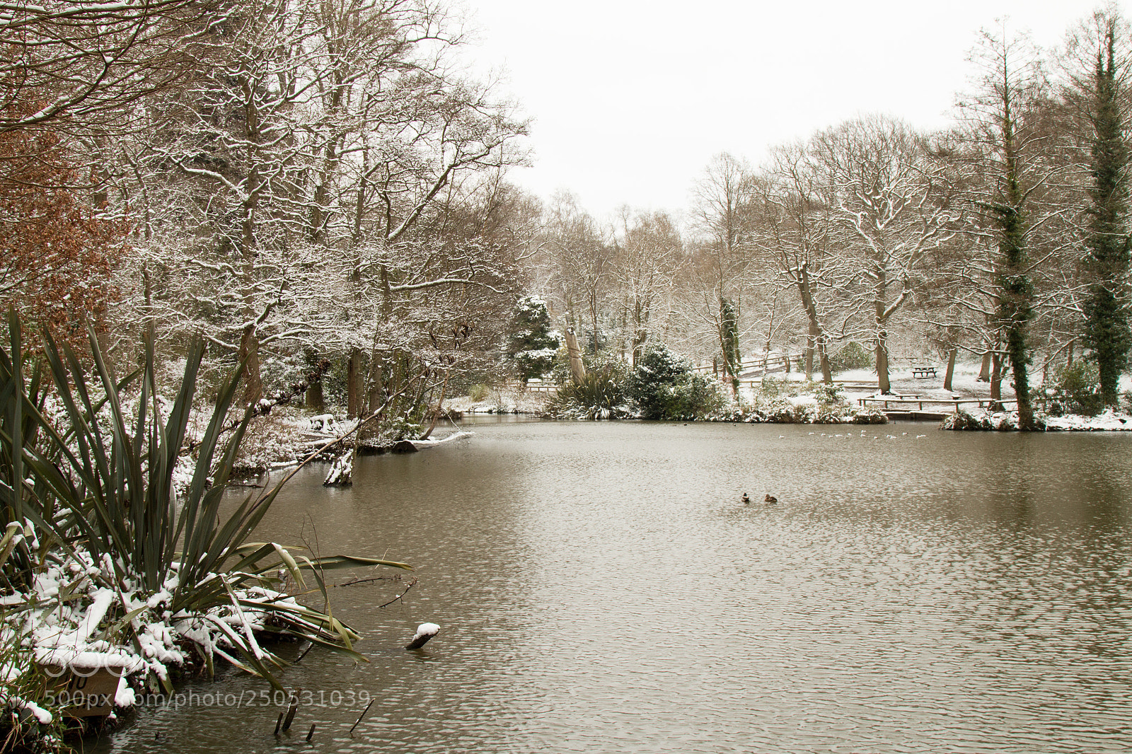 Canon EOS 70D sample photo. Holly hill lake photography