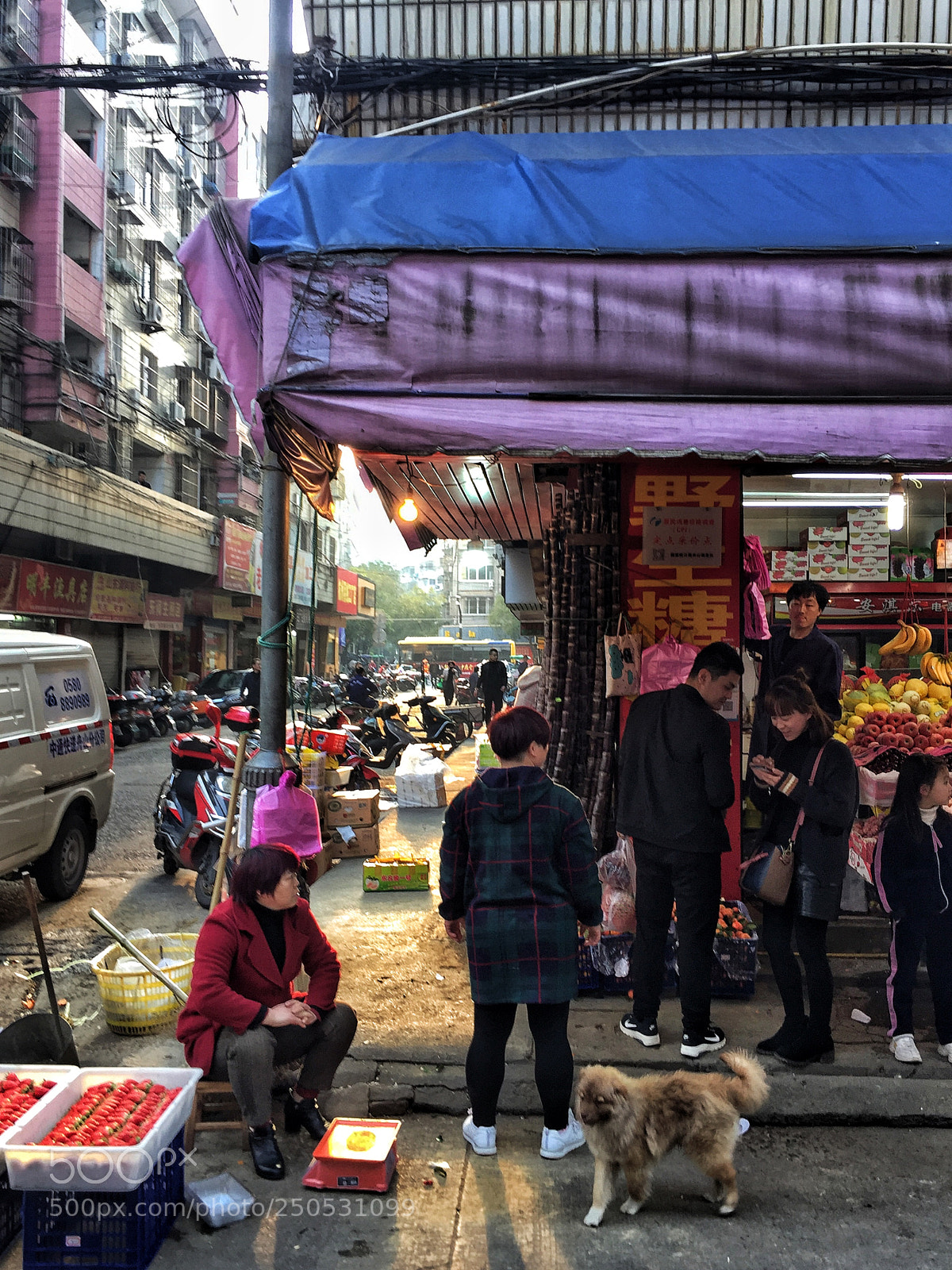 Apple iPhone 6 Plus sample photo. Untitled photography
