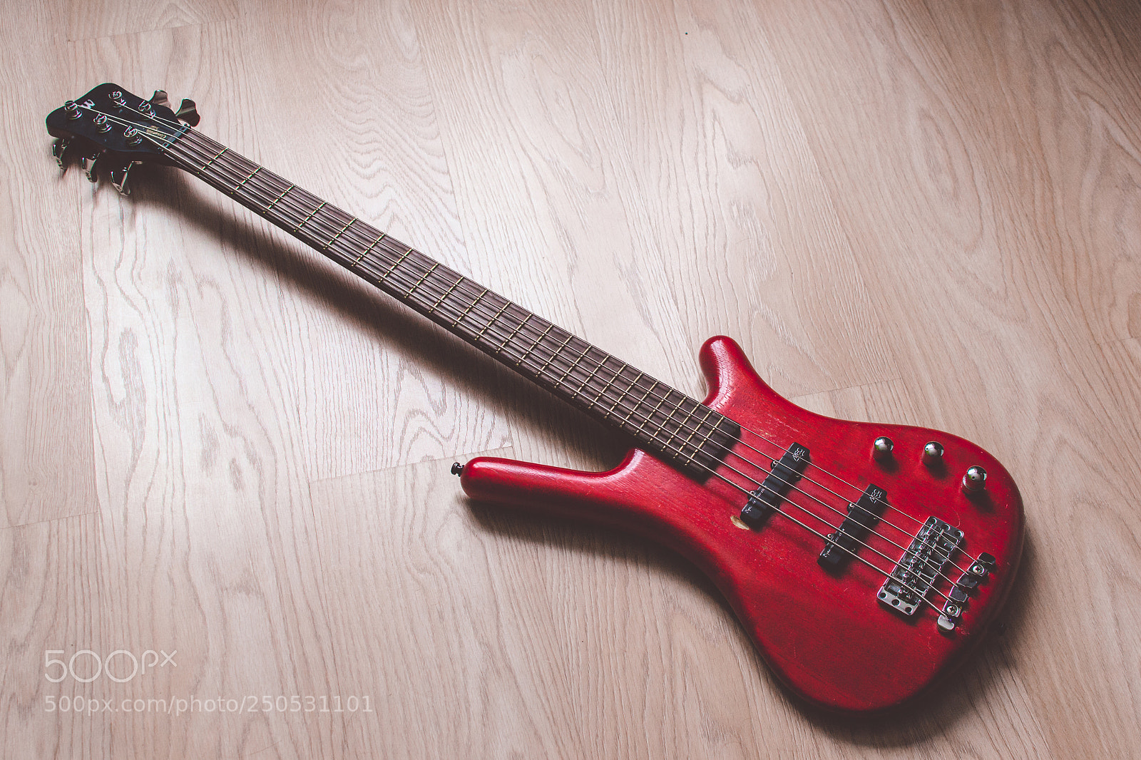 Nikon D3100 sample photo. W is for win! photography