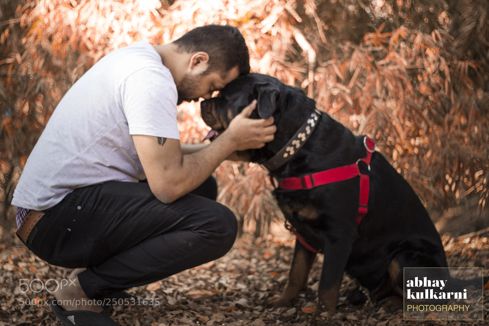 Canon EOS 600D (Rebel EOS T3i / EOS Kiss X5) sample photo. Unconditional love photography