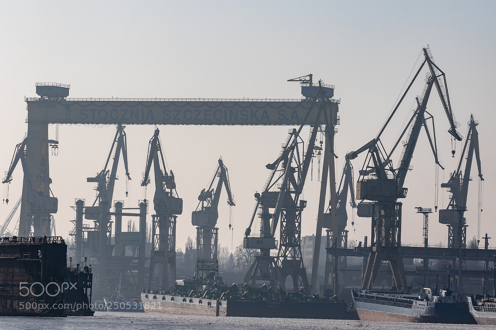 Canon EOS 7D Mark II sample photo. Cranes photography