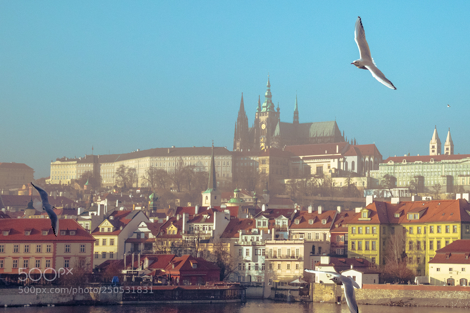 Nikon D5300 sample photo. Prashskiy hrad (prague castle) photography