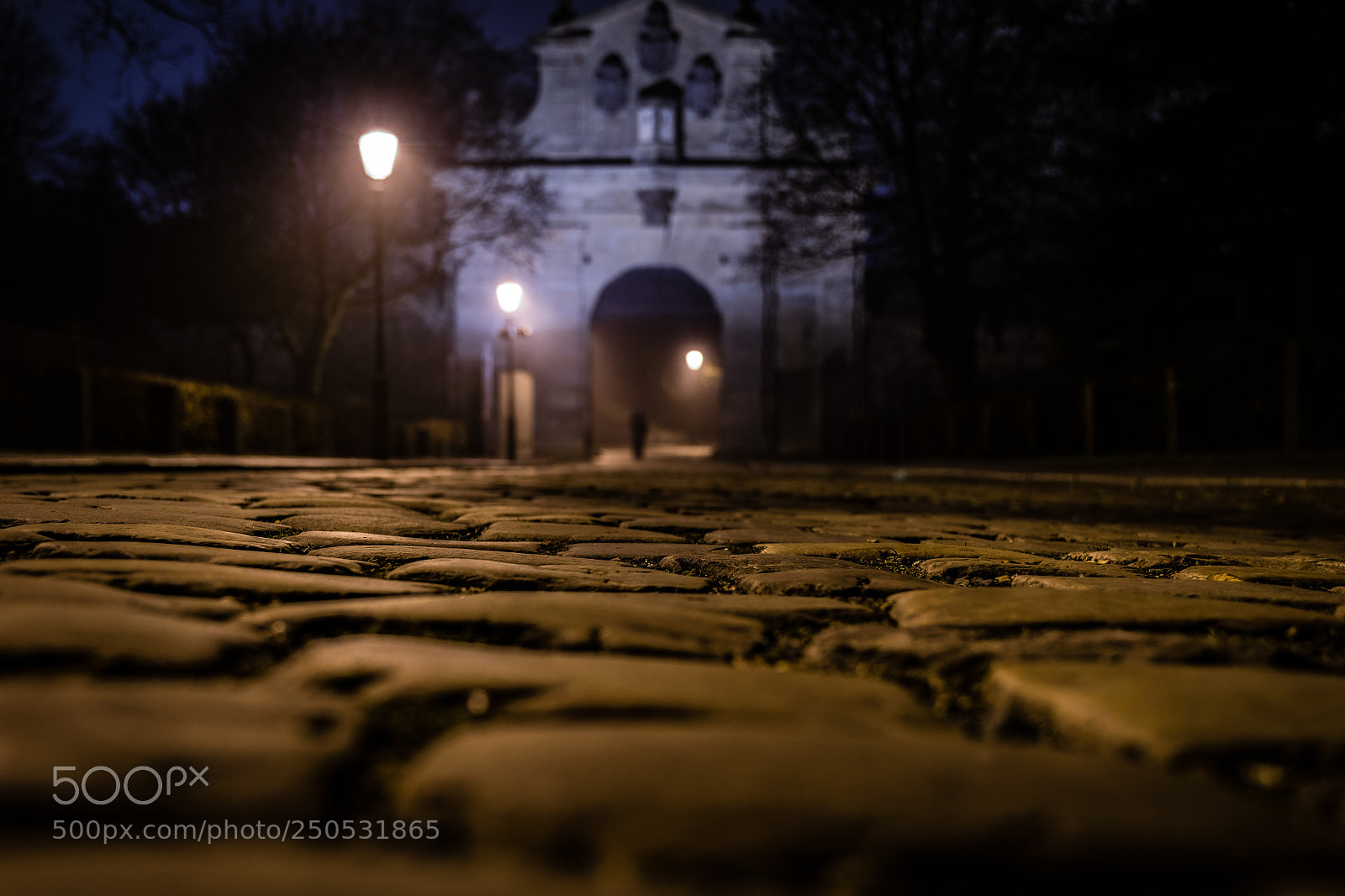 Nikon D5300 sample photo. Vyshegrad at night photography