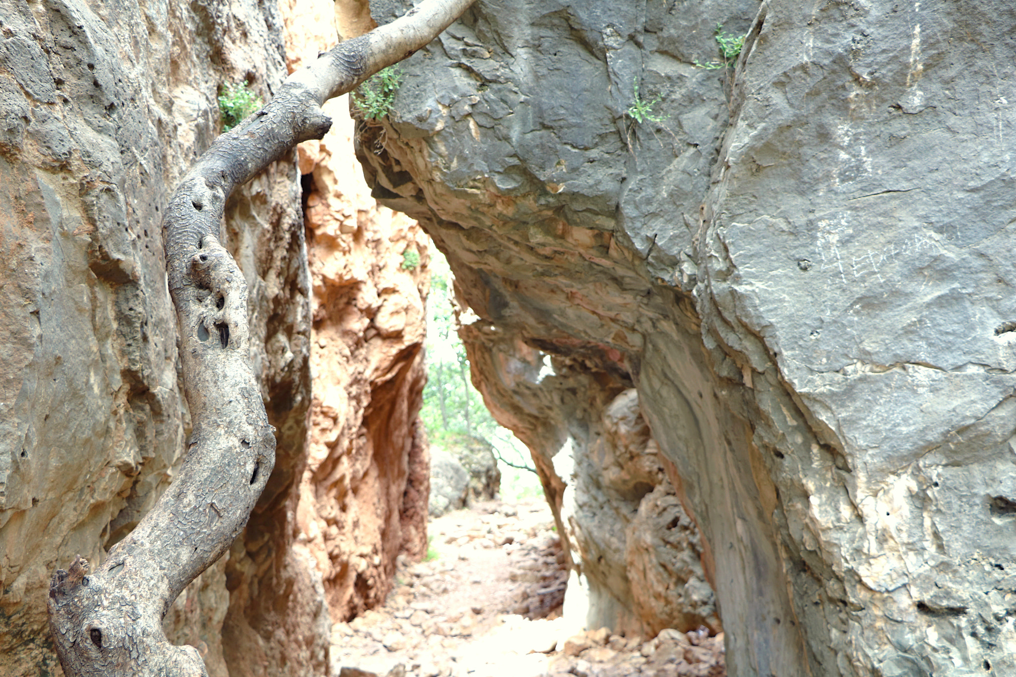Canon EOS 750D (EOS Rebel T6i / EOS Kiss X8i) sample photo. Rock formation photography