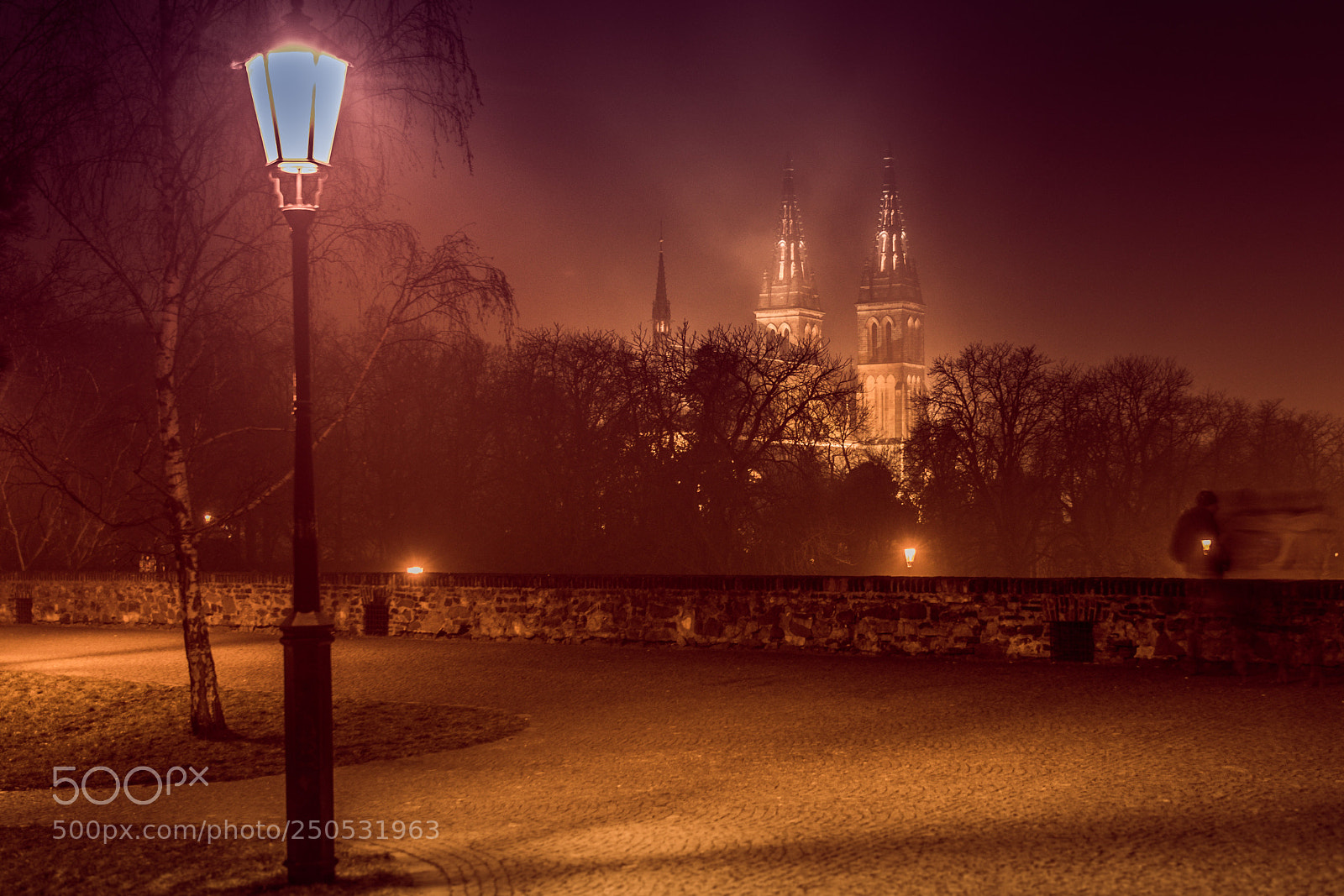Nikon D5300 sample photo. Praha, vyshegrad at the photography