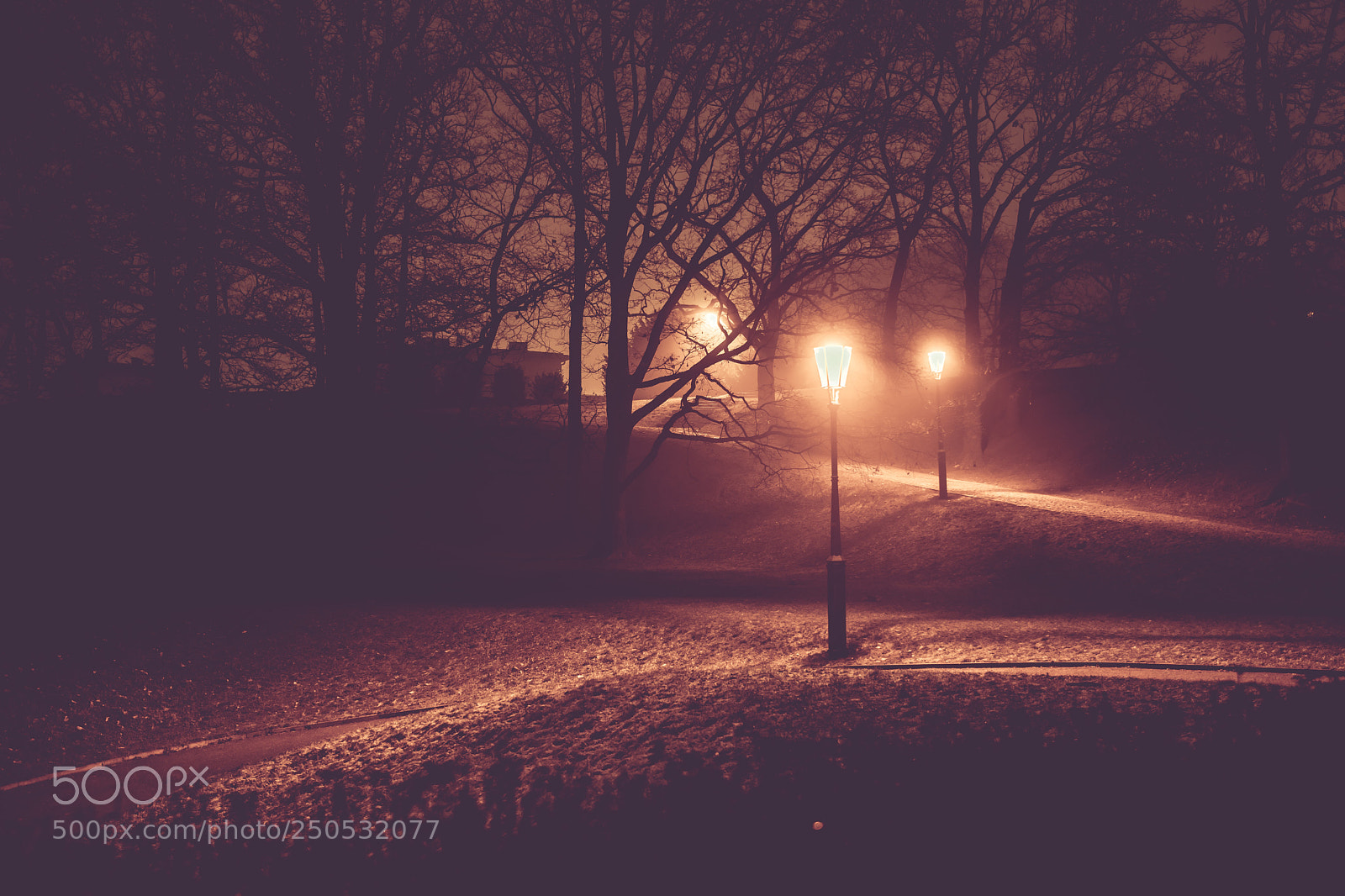 Nikon D5300 sample photo. Praha, vyshegrad at the photography