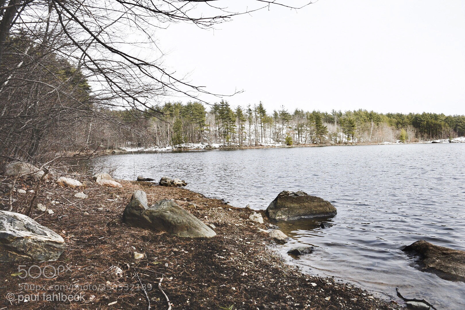 Nikon D7200 sample photo. Untitled  photography