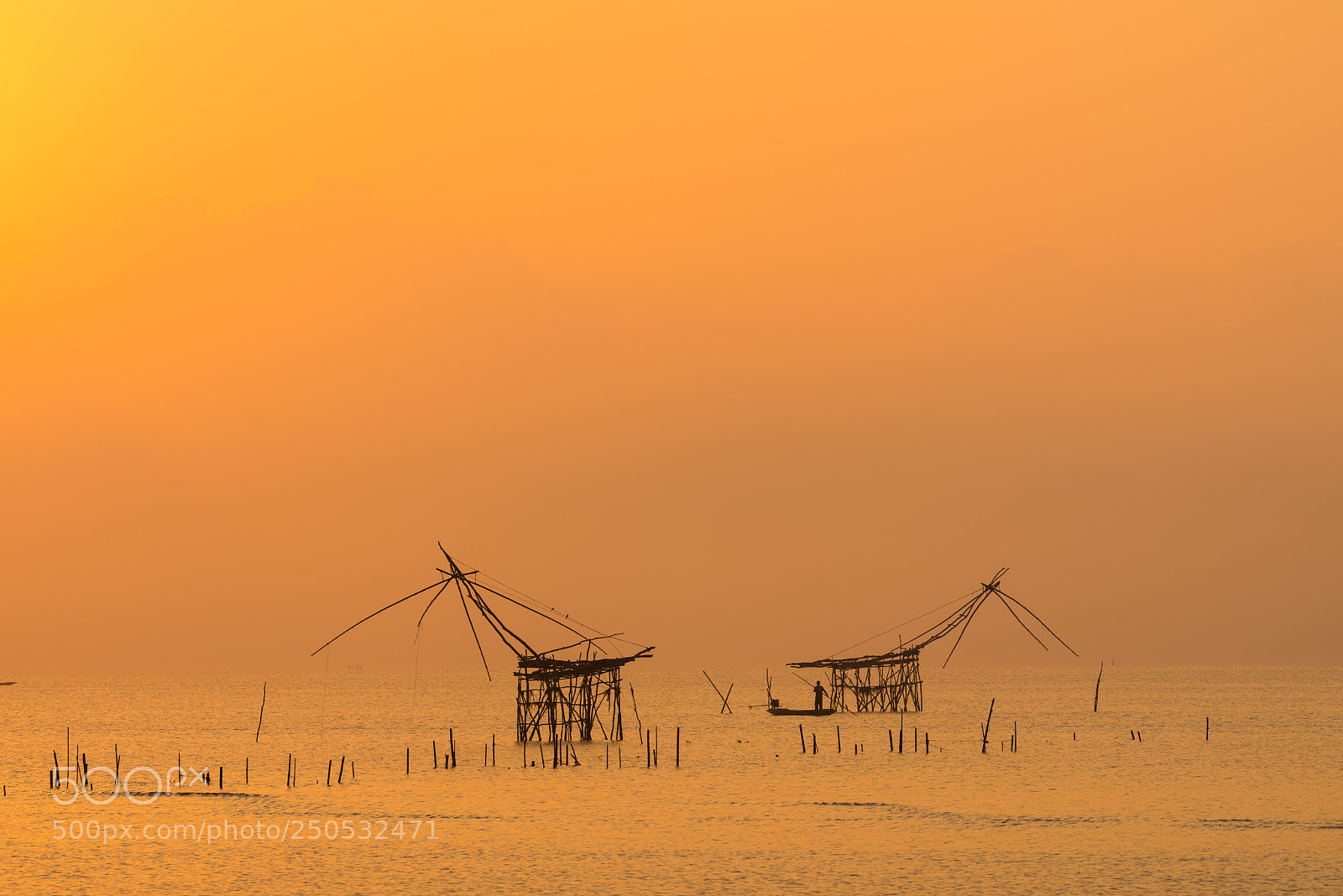 Nikon D810 sample photo. Golden sky with square photography