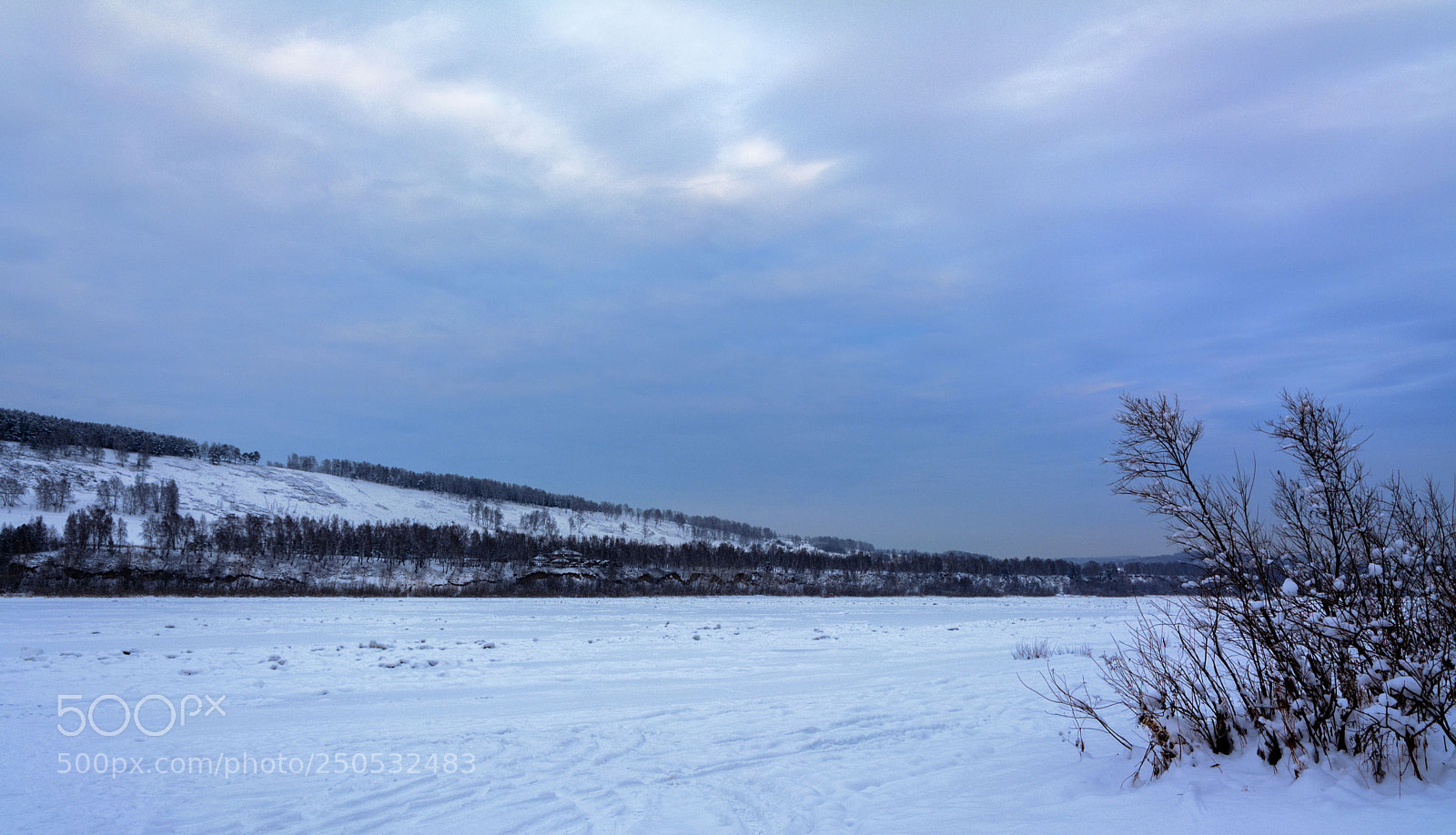 Nikon D5200 sample photo. Winter photography