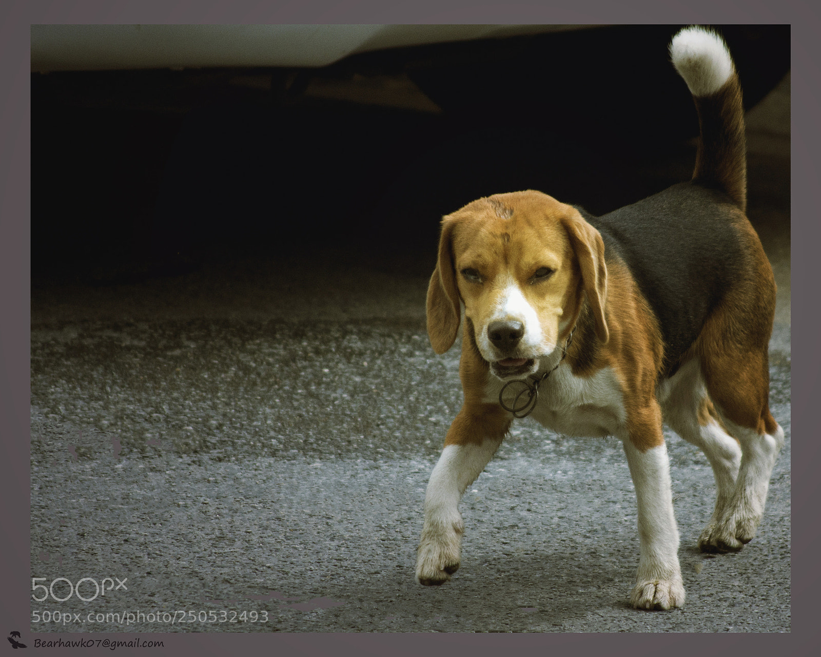 Nikon D7200 sample photo. Copy () copy photography