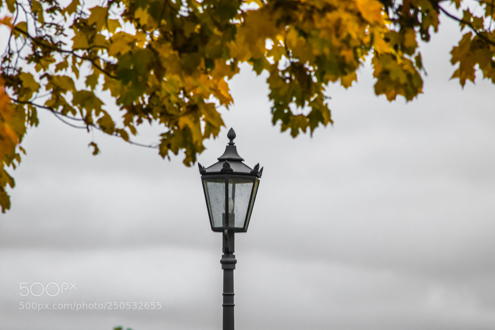 Nikon D5200 sample photo. Narnia? photography