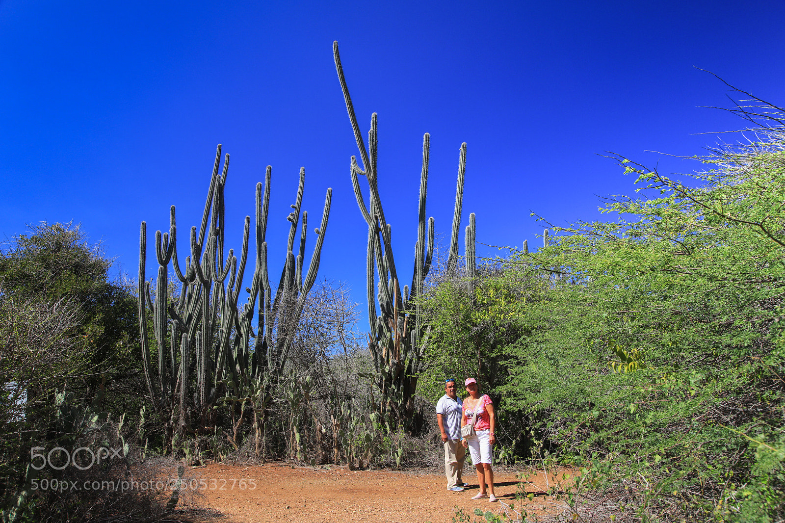 Canon EOS 5D Mark IV sample photo. Curacao 22 photography