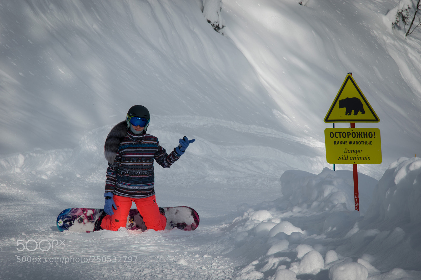 Nikon D5300 sample photo. Snowboarding with wild animals photography
