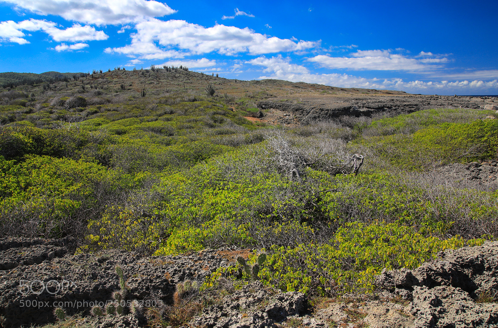 Canon EOS 5D Mark IV sample photo. Curacao 23 photography