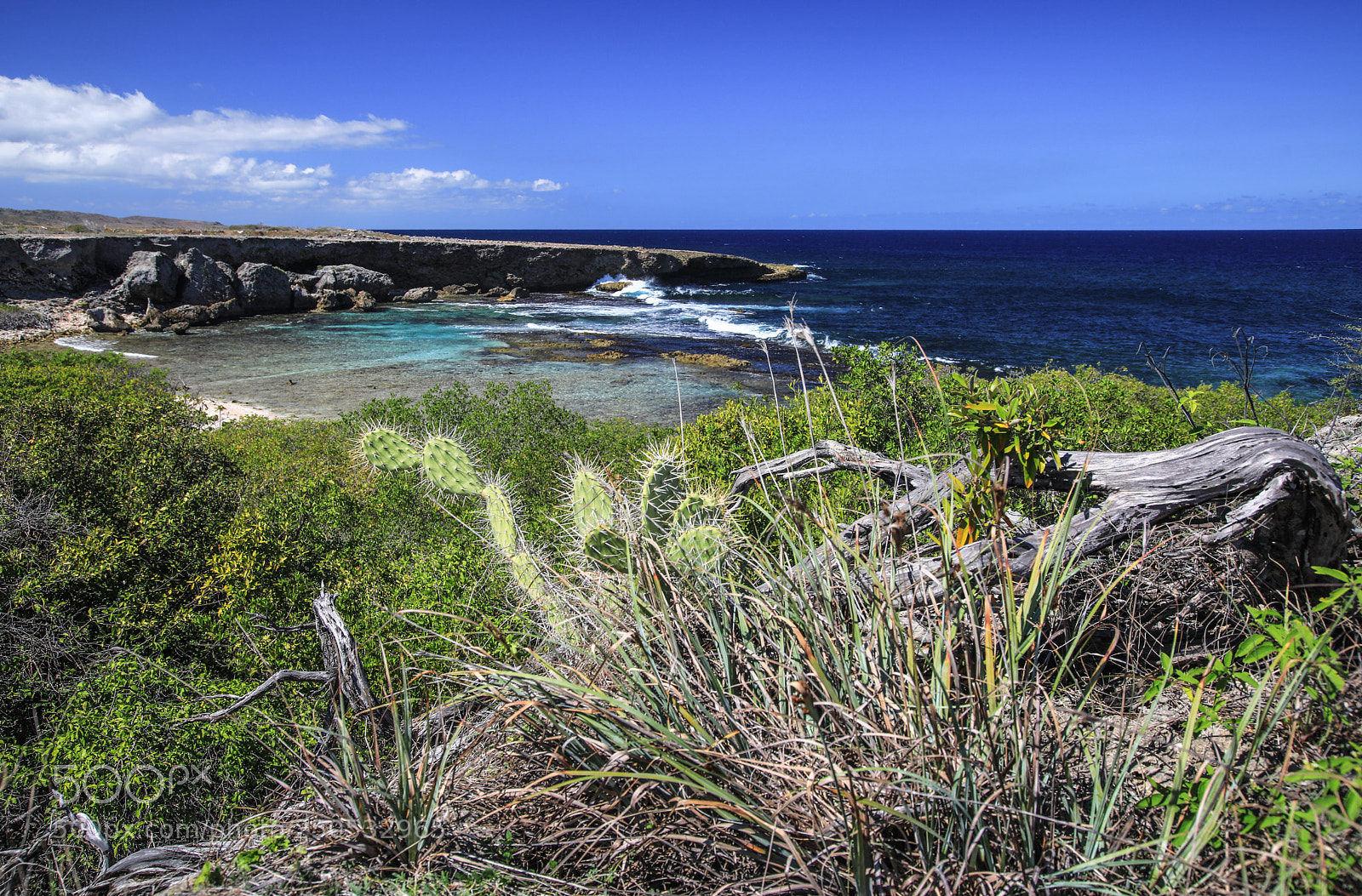 Canon EOS 5D Mark IV sample photo. Curacao 27 photography